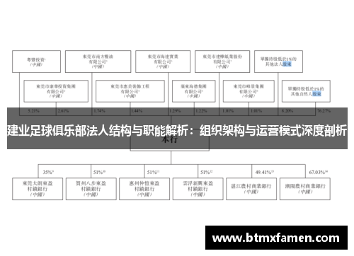 建业足球俱乐部法人结构与职能解析：组织架构与运营模式深度剖析
